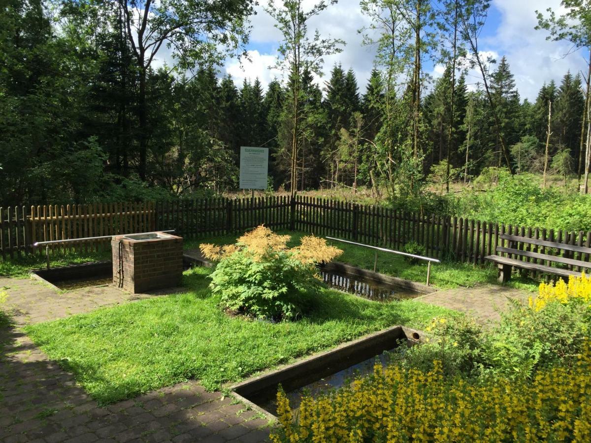 Hahnenklee 136