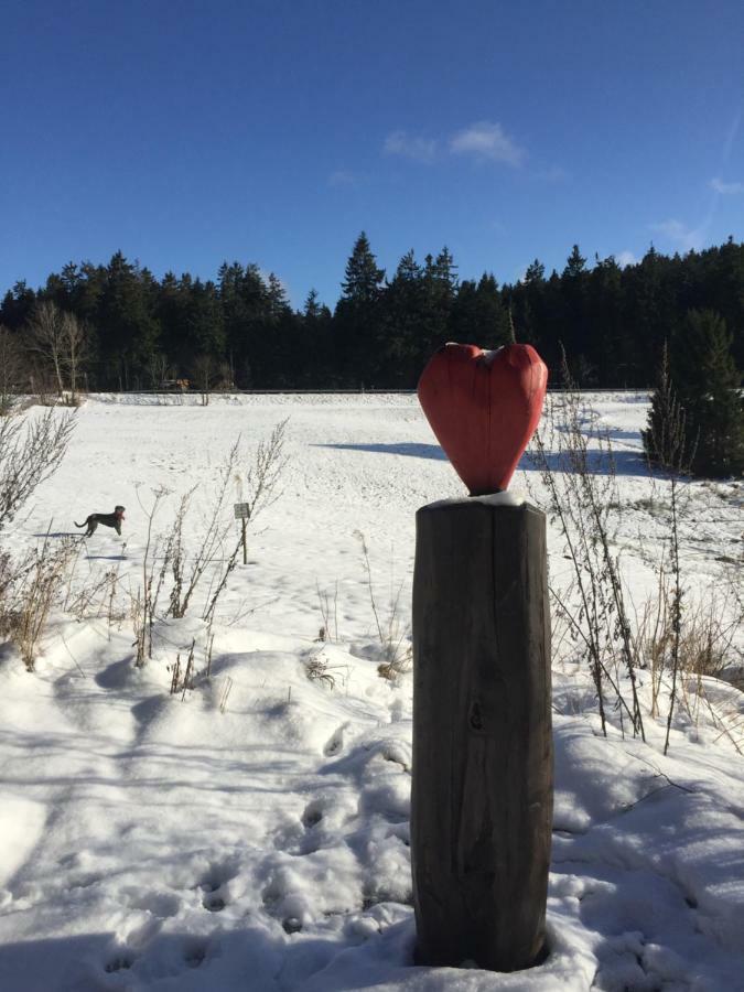 Hahnenklee 136